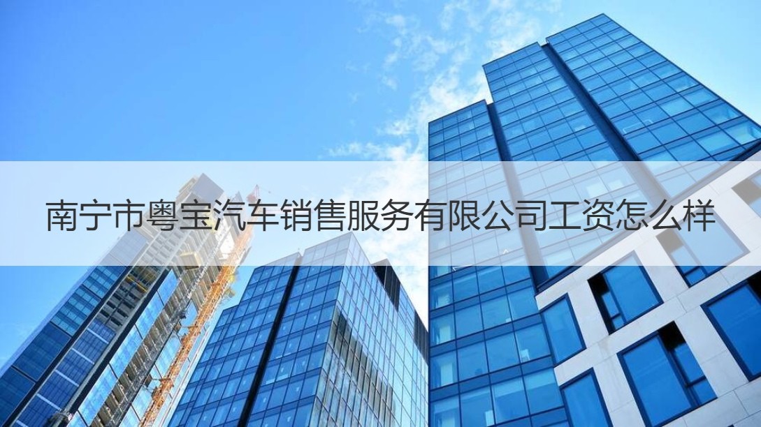 南寧市粵寶汽車(chē)銷(xiāo)售服務(wù)工作薪資與二手日用百貨銷(xiāo)售對(duì)比分析